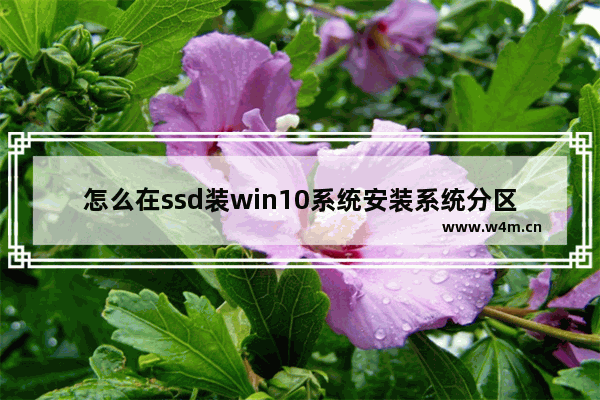 怎么在ssd装win10系统安装系统分区 SSD安装Win10及分区教程