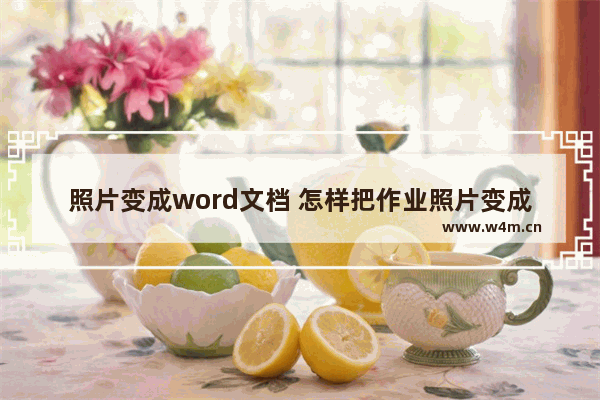 照片变成word文档 怎样把作业照片变成word文档