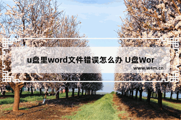 u盘里word文件错误怎么办 U盘Word文件无法打开怎么办？