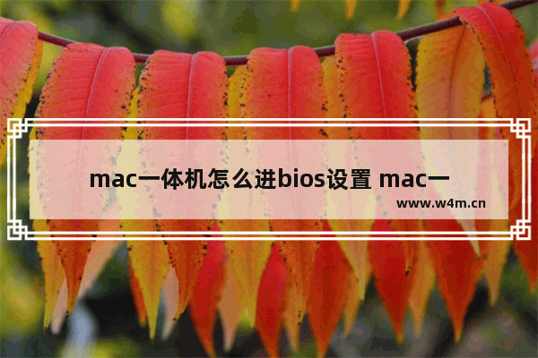 mac一体机怎么进bios设置 mac一体机如何进入BIOS设置