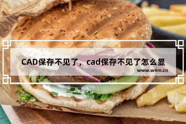 CAD保存不见了，cad保存不见了怎么显示出来