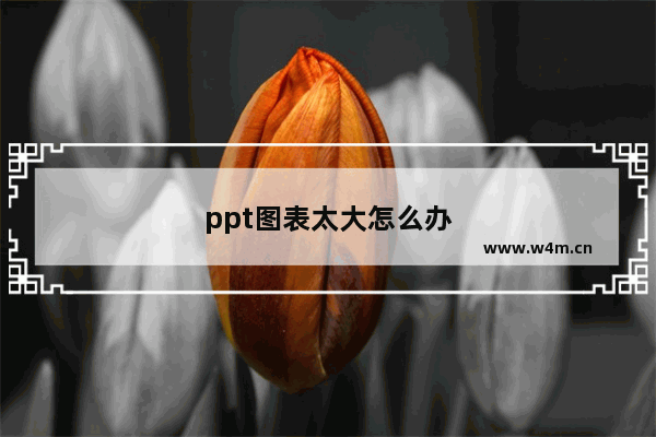 ppt图表太大怎么办