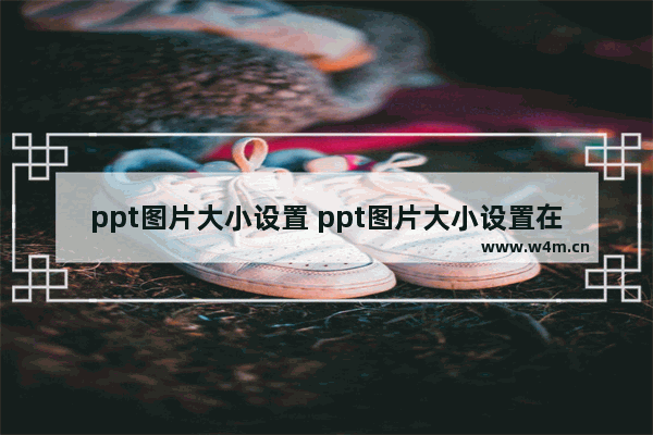 ppt图片大小设置 ppt图片大小设置在哪