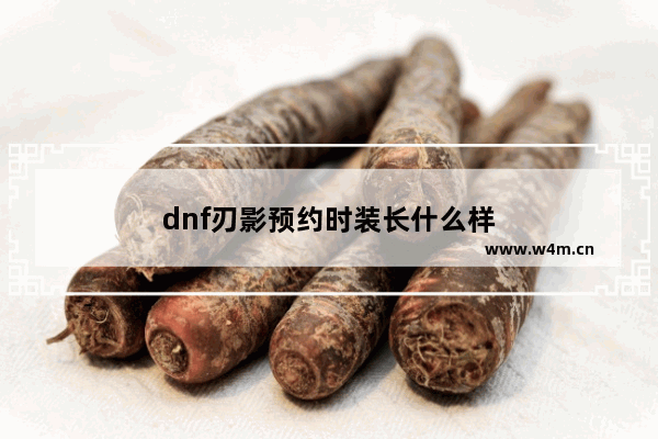 dnf刃影预约时装长什么样