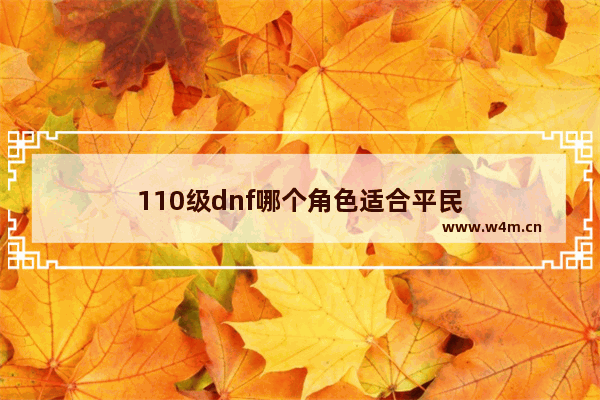 110级dnf哪个角色适合平民