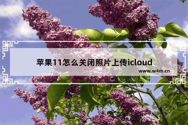 苹果11怎么关闭照片上传icloud