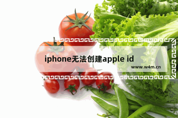 iphone无法创建apple id