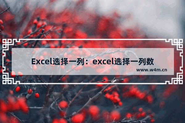 Excel选择一列：excel选择一列数据做饼图