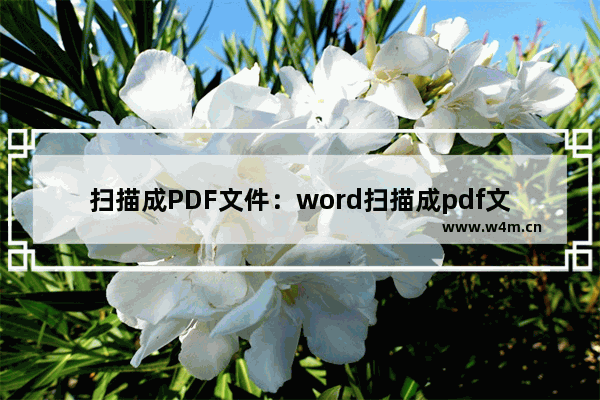 扫描成PDF文件：word扫描成pdf文件怎么弄