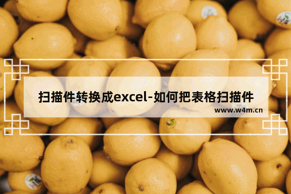 扫描件转换成excel-如何把表格扫描件转换成Excel文件