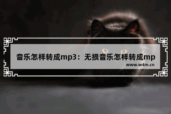 音乐怎样转成mp3：无损音乐怎样转成mp3格式