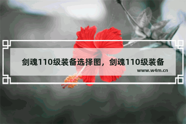 剑魂110级装备选择图，剑魂110级装备选择图在哪里刷