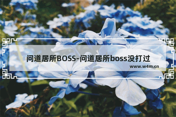 问道居所BOSS-问道居所boss没打过会消失吗