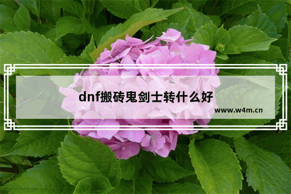 dnf搬砖鬼剑士转什么好