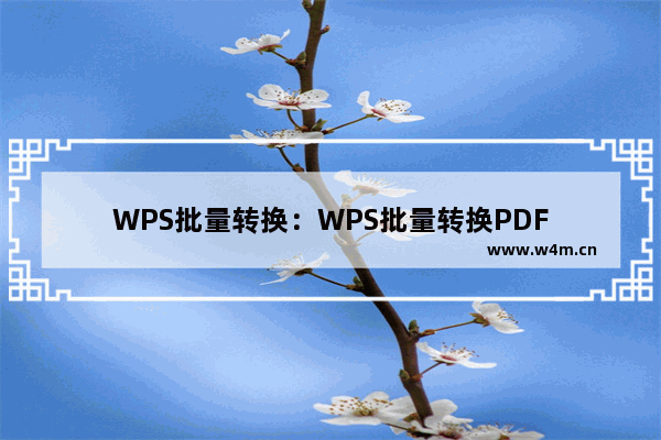 WPS批量转换：WPS批量转换PDF