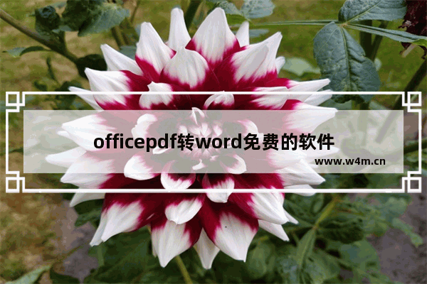 officepdf转word免费的软件