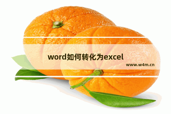 word如何转化为excel