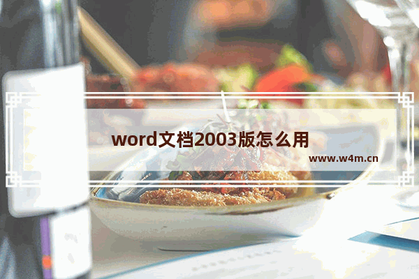 word文档2003版怎么用