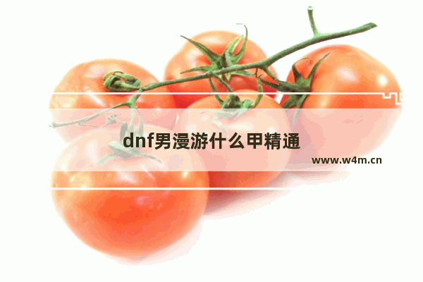 dnf男漫游什么甲精通