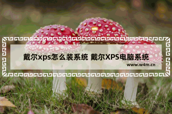 戴尔xps怎么装系统 戴尔XPS电脑系统安装指南