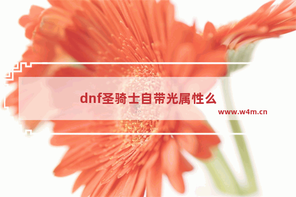 dnf圣骑士自带光属性么