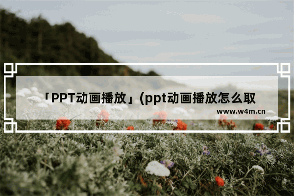 「PPT动画播放」(ppt动画播放怎么取消)