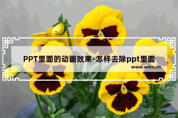 PPT里面的动画效果-怎样去除ppt里面的动画效果