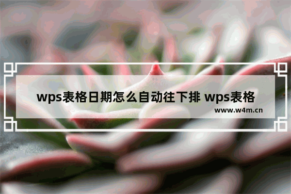 wps表格日期怎么自动往下排 wps表格日期怎么自动往下排视频