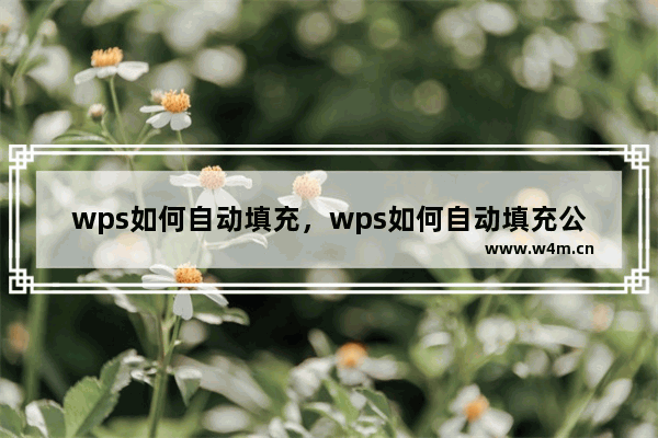 wps如何自动填充，wps如何自动填充公式 max