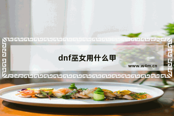 dnf巫女用什么甲