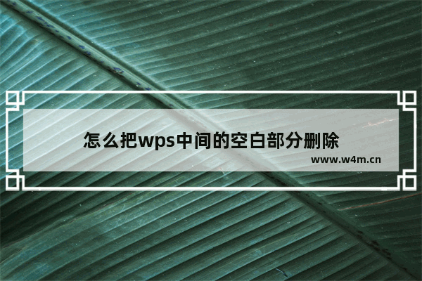 怎么把wps中间的空白部分删除