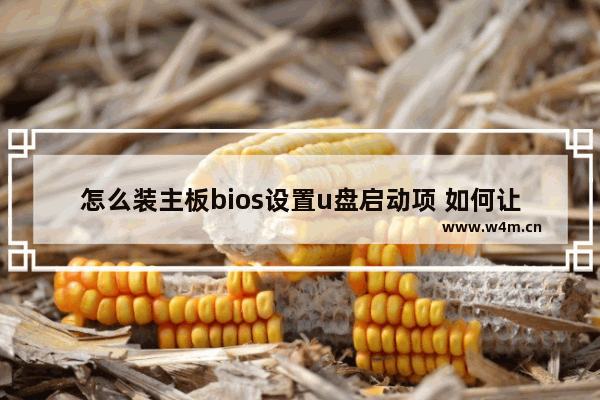 怎么装主板bios设置u盘启动项 如何让U盘成为主板BIOS中的启动项