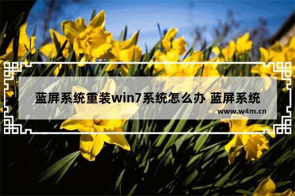 蓝屏系统重装win7系统怎么办 蓝屏系统如何重新安装win7