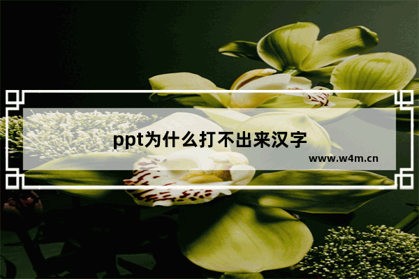 ppt为什么打不出来汉字