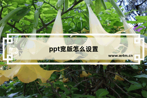 ppt宽版怎么设置