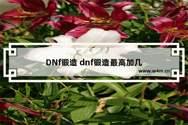 DNf锻造 dnf锻造最高加几