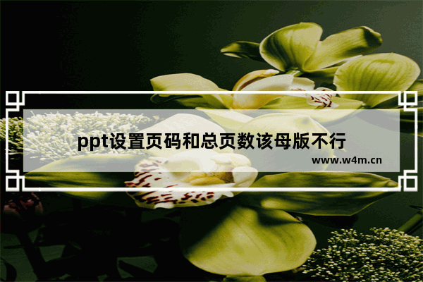 ppt设置页码和总页数该母版不行