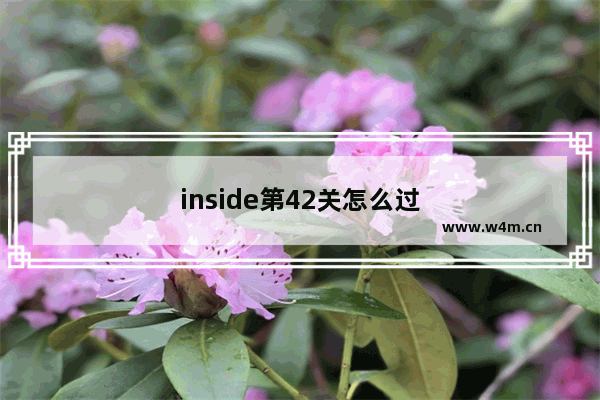 inside第42关怎么过