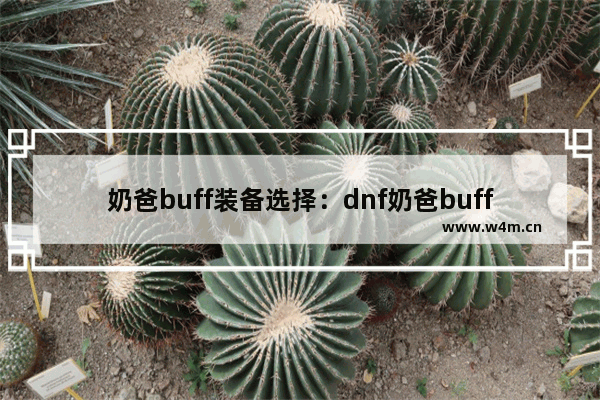 奶爸buff装备选择：dnf奶爸buff装备选择