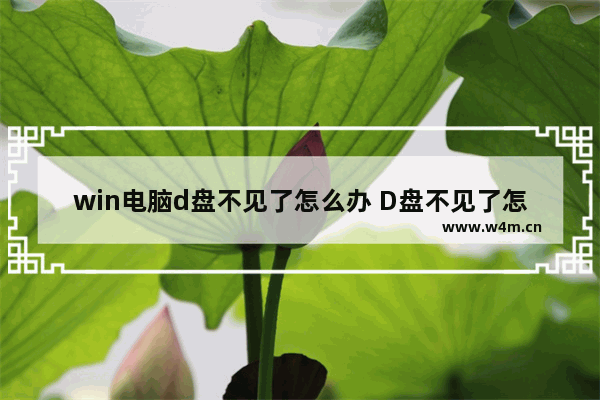 win电脑d盘不见了怎么办 D盘不见了怎么恢复？