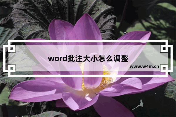 word批注大小怎么调整