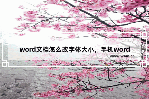 word文档怎么改字体大小，手机word文档怎么改字体大小