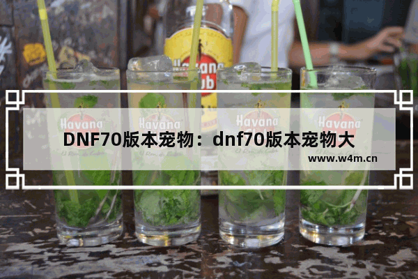 DNF70版本宠物：dnf70版本宠物大全