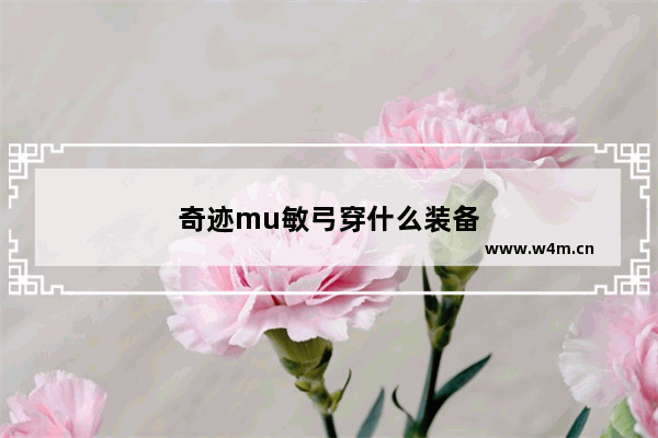 奇迹mu敏弓穿什么装备