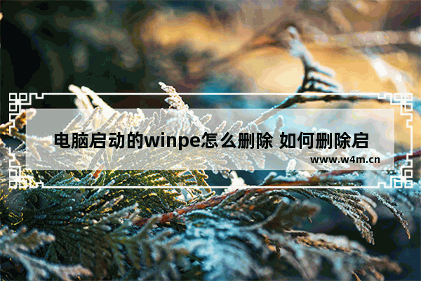 电脑启动的winpe怎么删除 如何删除启动时使用的WinPE系统？