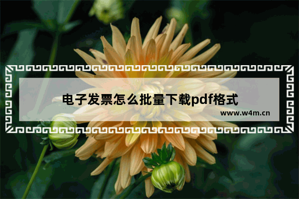 电子发票怎么批量下载pdf格式