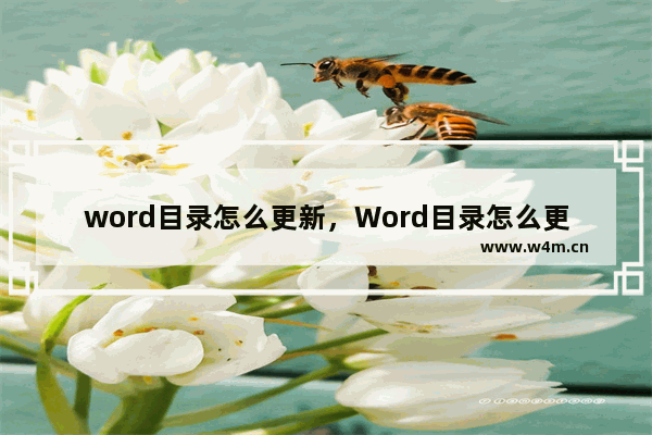 word目录怎么更新，Word目录怎么更新页码