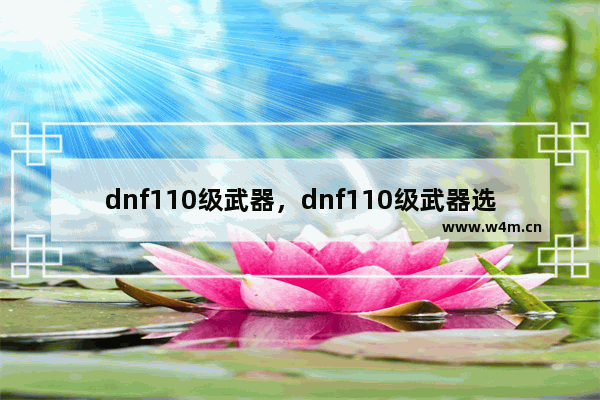 dnf110级武器，dnf110级武器选择