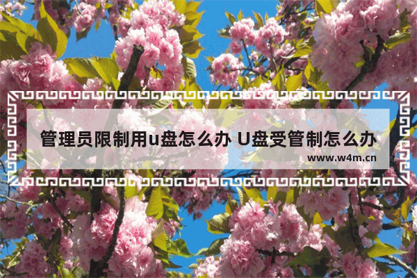 管理员限制用u盘怎么办 U盘受管制怎么办