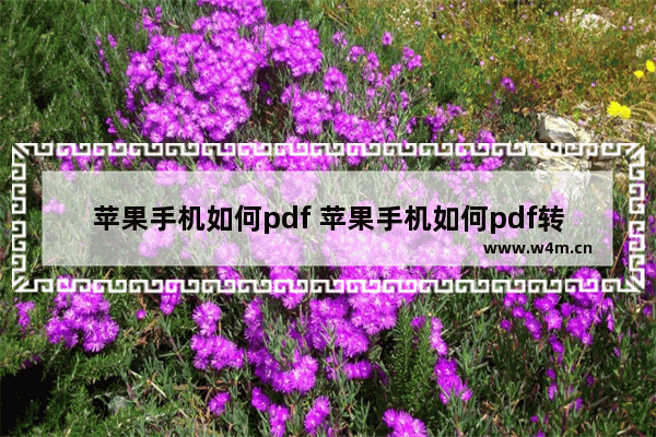 苹果手机如何pdf 苹果手机如何pdf转word